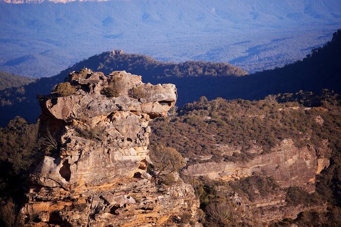Luxury Small Group of 5 Blue Mountains Escape Tour - Stop 1: Featherdale Sydney Wildlife Park, a Native Wildlife Warm-Up