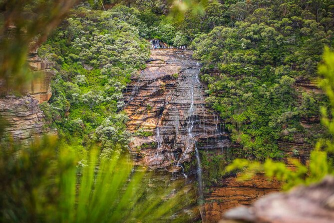 Luxury Small Group of 5 Blue Mountains Escape Tour - Price and Value: What You’re Paying For