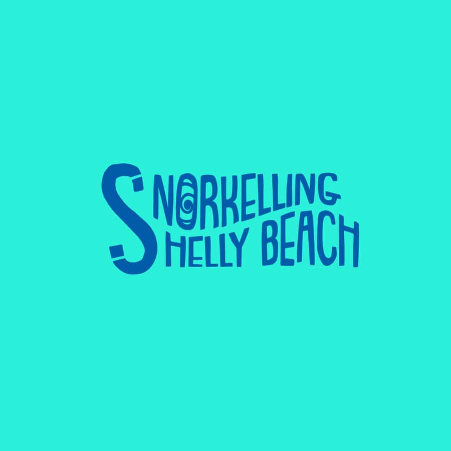 Manly Beach Guided Snorkeling Tours - Why this Manly Beach snorkeling session works for first-timers
