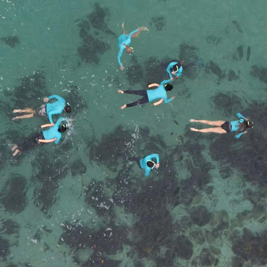 Manly Beach Guided Snorkeling Tours - Marine Parade to the water: what “small group” actually means