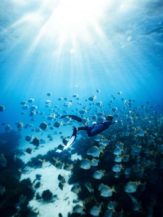 Manly: Beginner Freediving: Breath-Hold & Ocean Exploration - Towel drills: breath-holding that actually translates to the water