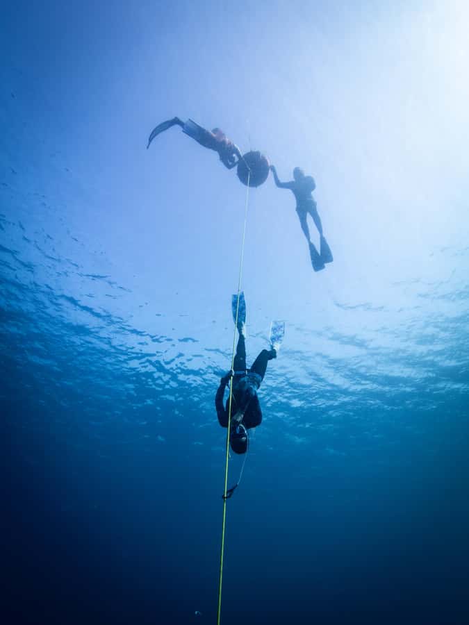 Manly: Beginner Freediving: Breath-Hold & Ocean Exploration - Gear, wetsuit reality, and what to bring