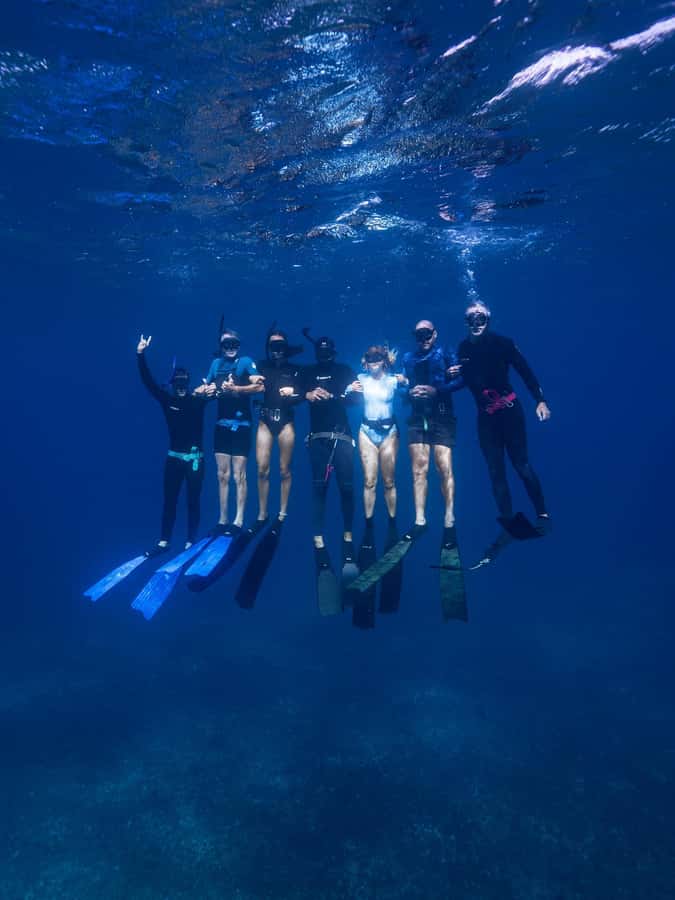 Manly: Beginner Freediving: Breath-Hold & Ocean Exploration - Theory session: equalization, safety, and head position