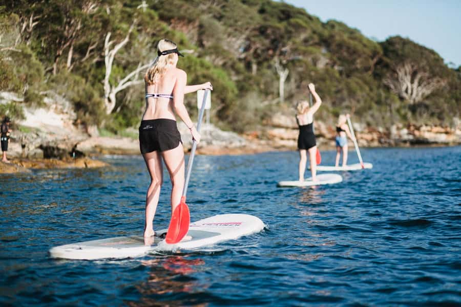 Manly Stand Up Paddle Board Hire - Getting on the board: what “beginner-friendly” really means here
