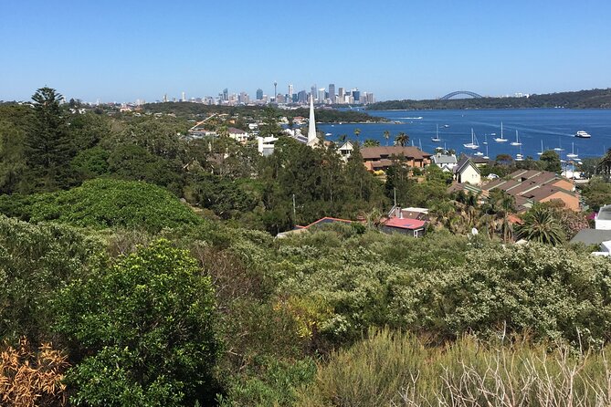 Morning or Afternoon Half-Day Sydney City Sightseeing Tour - Rose Bay and Watsons Bay Area: Big Harbor Views, Big-Home Neighborhoods