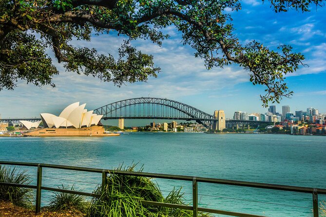 Morning or Afternoon Half-Day Sydney City Sightseeing Tour - Centennial Park and Paddington: Urban Life Between the Icons