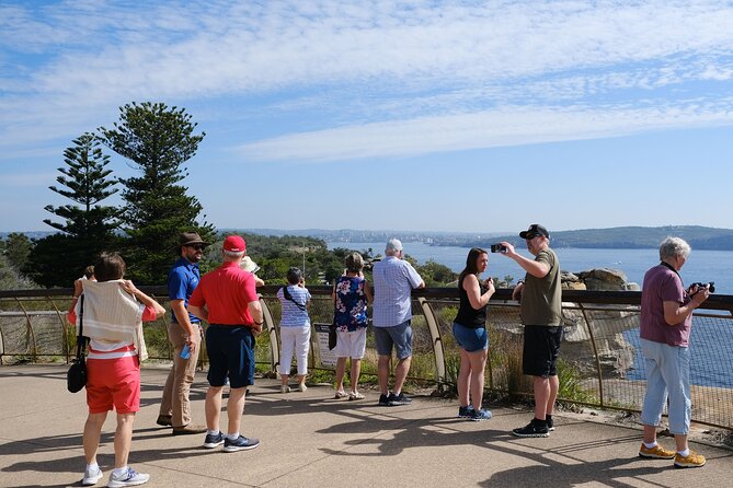 Morning or Afternoon Half-Day Sydney City Sightseeing Tour - Chinatown, Darling Harbour, and the Bridge Drive at the End