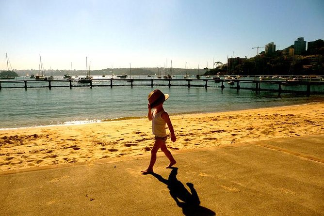 Morning or Afternoon Highlights Tour in Sydney with a Local Guide - Price and what $118.35 buys you in real-world value