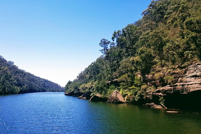 Morning Paddlewheeler Cruise in the Gorge - Getting there at Jetty Tench Reserve, Jamisontown