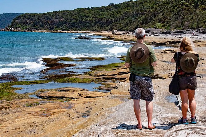 Nature and Wildlife: Australia in One Day - Private Tour - A One-Day Private Tour of Sydney, Bush, Coast, and Wildlife