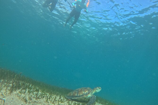One on One Snorkel Experience - Gear you get, what each item does, and what to bring anyway