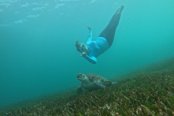 One on One Snorkel Experience - Price and value: what you’re paying for at $261.79 per person