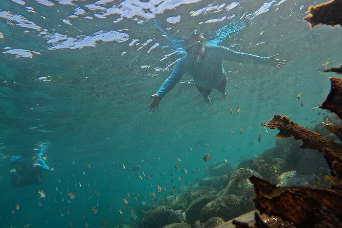 One on One Snorkel Experience - The one-on-one guide setup, safety, and what it changes for you