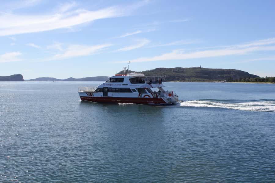 Palm Beach Harbour Hopper 24-hour or 48-hour Cruise Pass - Key highlights worth planning around