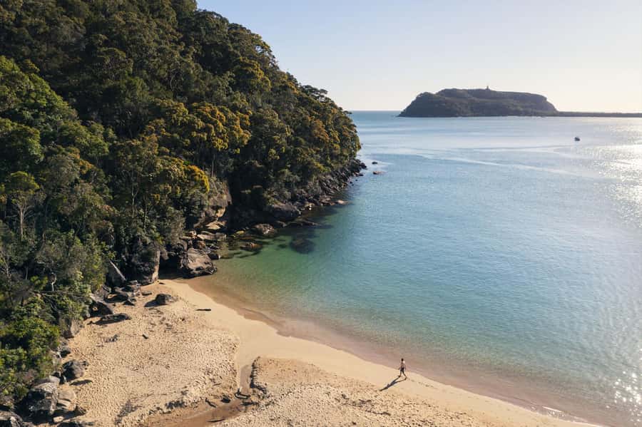 Palm Beach Harbour Hopper 24-hour or 48-hour Cruise Pass - Why this hopper pass feels so practical for Pittwater
