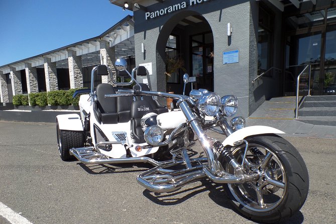 Panorama House Luncheon Trike Tour - Safety gear, helmets, and the trike setup you should plan for