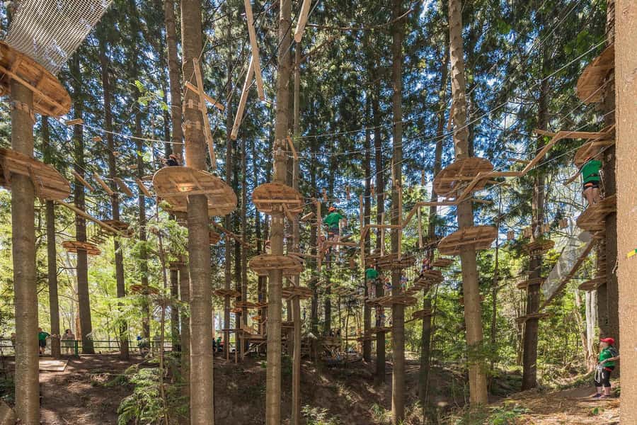 Pennant Hills: Tree Ropes Course Session - Your 150 minutes: what the session timeline really feels like