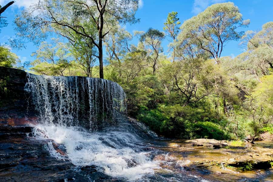Personalised Blue Mountains Tour: Luxury Vehicles & Insights - Luxury transport and private pickup that actually changes your day