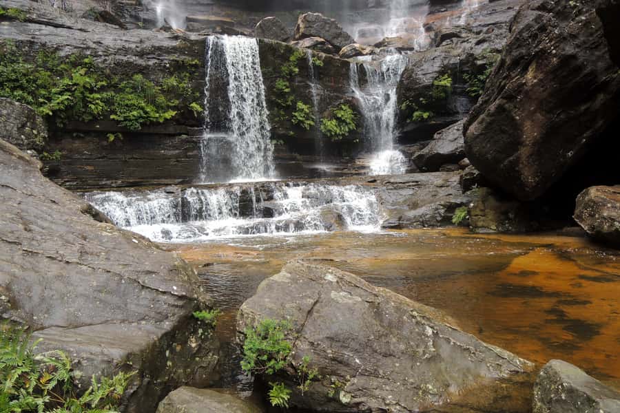 Personalised Blue Mountains Tour: Luxury Vehicles & Insights - Featherdale Wildlife Park: the easiest way to do koalas well