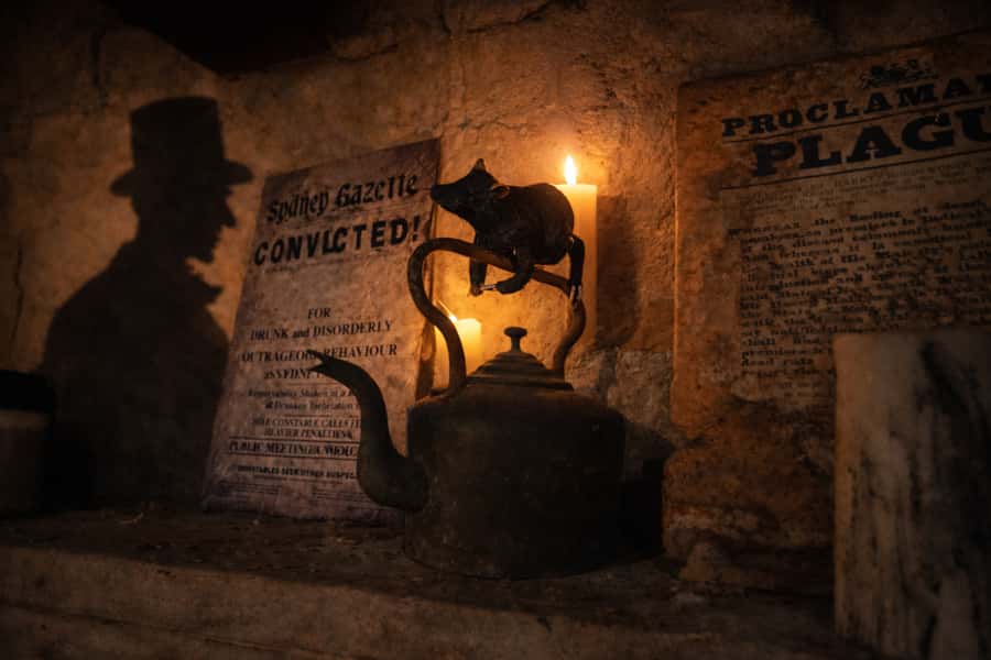 Phantom Pursuit: Sydney Rocks Investigation Tour - Group size, walking realities, and comfort tips that actually help