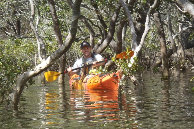Pittwater Discovery Kayaking Tour - First Steps at Paddlecraft Kayaks, Bayview