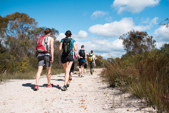 Pittwater Discovery Kayaking Tour - Who This Tour Suits Best (And Who Might Find It Too Much)