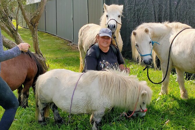 Pony Walking Adventure - How Empathy Gets Taught Without Getting Loud