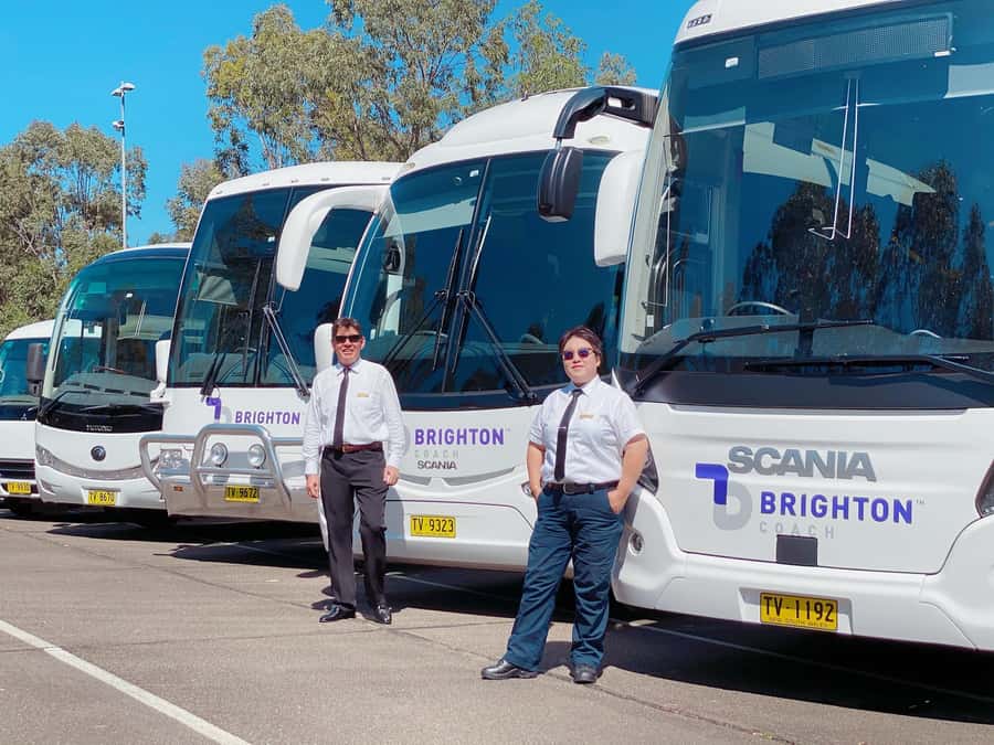 Port Stephens: Dolphin Cruise, Lunch, Koalas & Sandboarding - Price and Value: What $140 Gets You, and What Might Cost Extra