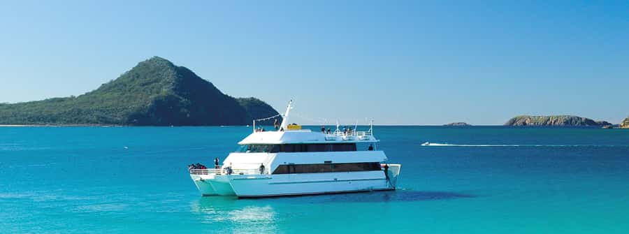 Port Stephens: Dolphin, Lunch, Koalas&Sandboarding -Mandarin - Key points to know