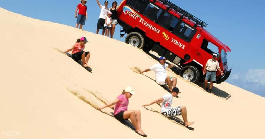 Port Stephens: Dolphin, Lunch, Koalas&Sandboarding -Mandarin - Port Stephens in one day, with dolphins and koalas