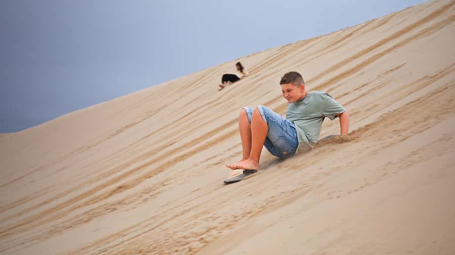 Port Stephens: Dolphin, Lunch, Koalas&Sandboarding -Mandarin - Tour guide quality, and why it affects your day