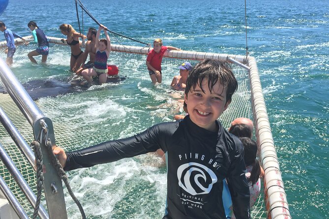 Port Stephens Private Tour From Sydney, with Dolphin/ Whale Cruise Options - Gan Gan Lookout: the “stand still and look” moment