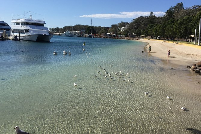 Port Stephens Private Tour From Sydney, with Dolphin/ Whale Cruise Options - Lunch at Nelson Bay Bowling and Recreation Club, plus a view