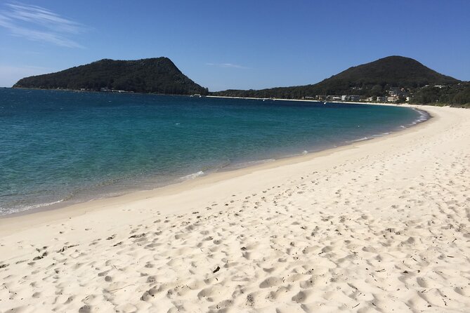 Port Stephens Private Tour From Sydney, with Dolphin/ Whale Cruise Options - Camel rides and the reality of what depends on availability