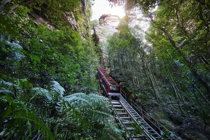 Private All Blue Mountains Day Tour - From Sydney Pickup to Olympic Park, Then Out West