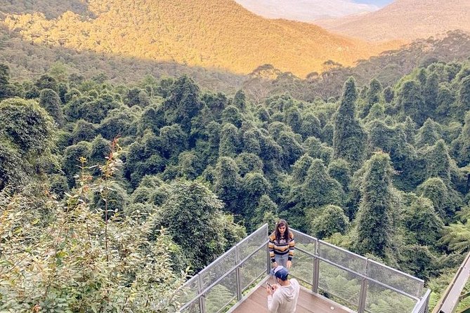 Private All Blue Mountains Day Tour - Scenic World Option: Four Rides in One Hour