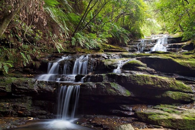 Private All Blue Mountains Day Tour - Price and What You’re Really Paying For