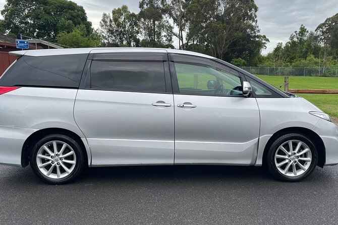 Private Arrival Transfer: Sydney Airport to Hotel or Cruise Port - Timing and Late Flights: How the Service Handles It
