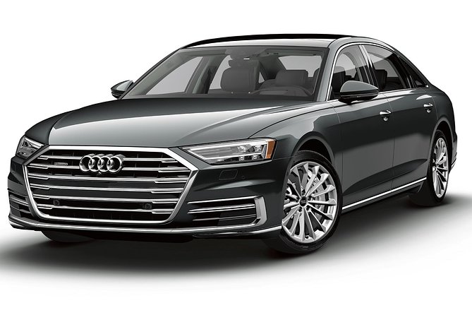 Private Arrival Transfer: Sydney Airport to Hotel or Cruise Port - Real-World Driver Stars You Might Get