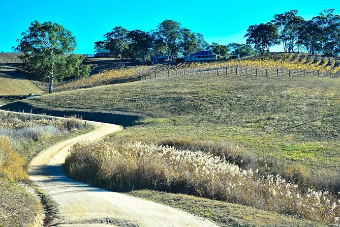 Private Blue Mountains and Winery Day-Trip from Sydney - Price and value: what $1,595 per group really buys you