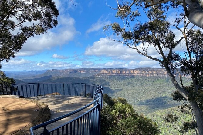Private Blue Mountains Day Tour (avoid the crowds) - Scenic World optional: cableway, steep railway, and Skyway