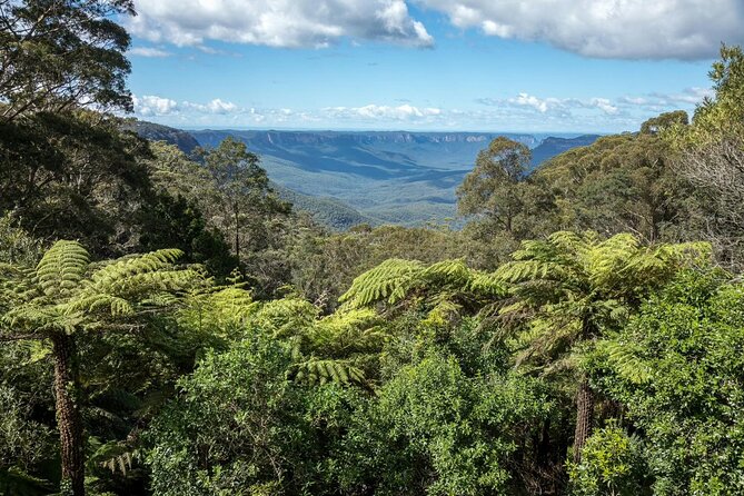 Private Blue Mountains Day Tour (avoid the crowds) - How the timing really works for a 6 to 8 hour day