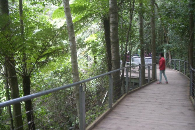 PRIVATE Blue Mountains day tour with local guide. - Blue Mountains lookouts and short stops that actually help you see more