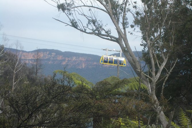 PRIVATE Blue Mountains day tour with local guide. - Featherdale Wildlife Park: the part that feels personal, not rushed