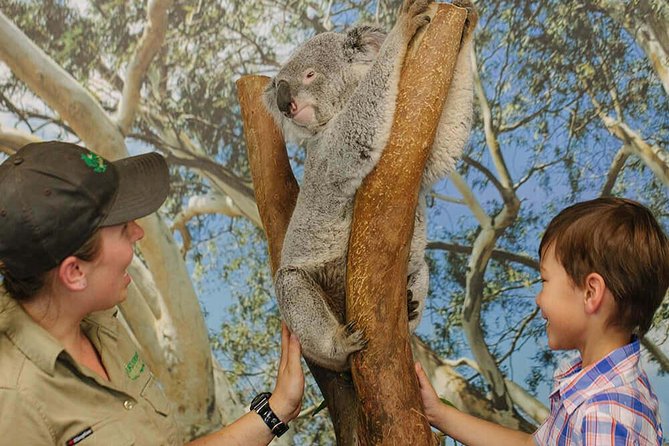 Private Blue Mountains High Country Day Trip from Sydney - Featherdale Wildlife Park: koalas and kangaroos, early and hands-on