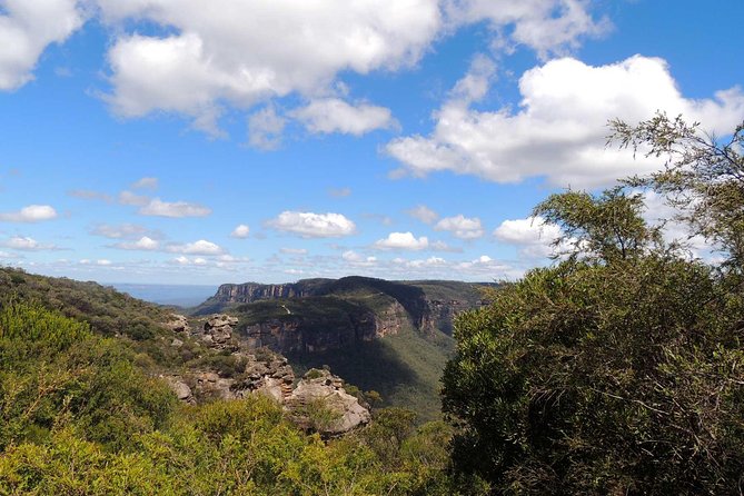 Private Blue Mountains Insider Tour from Sydney - Featherdale Sydney Wildlife Park: the Australian animal hit up close