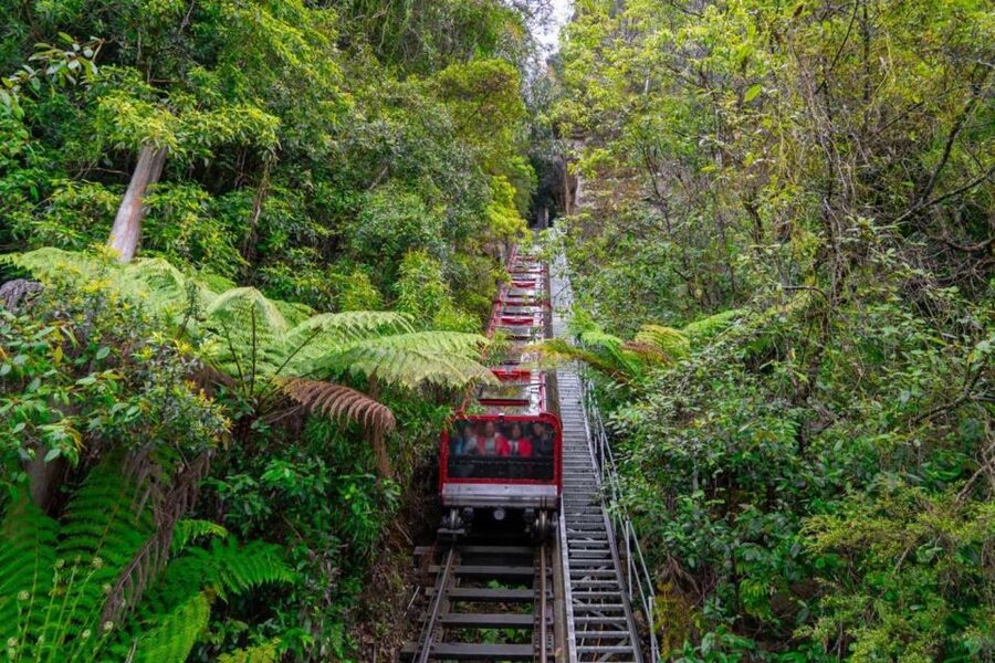 Private Blue Mountains, Scenic World & Wentworth Falls Tour - Katoomba break and Scenic World: when tickets included beats DIY planning