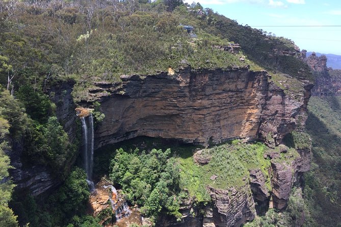 PRIVATE Blue Mountains Tour, Wildlife Park and River Cruise - 8am pickup and the air-conditioned rhythm of a long day