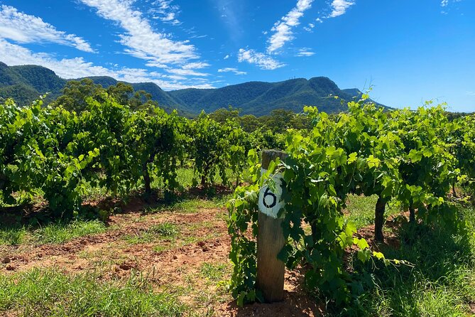 PRIVATE Blue Mountains Tour, Wildlife Park and River Cruise - Grand Canyon, Blue Mountains National Park, and the Aboriginal culture layer