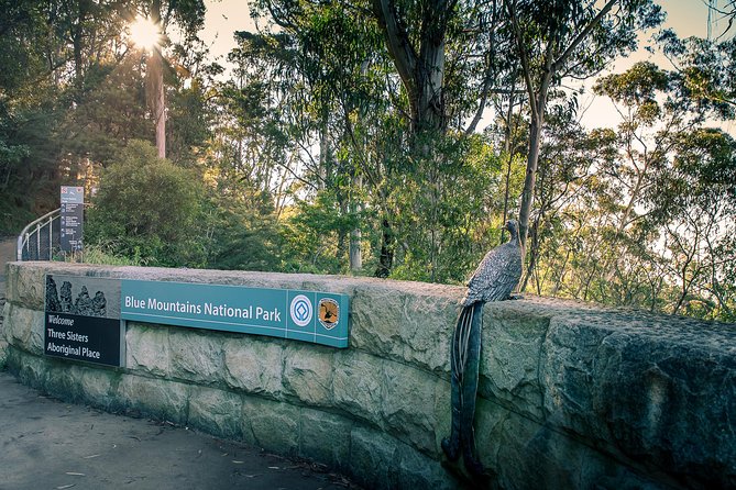 PRIVATE Blue Mountains Wilderness & Wildlife Late Start Tour - Calmsley Hill City Farm: Koalas, Kangaroos, and a Photo Moment